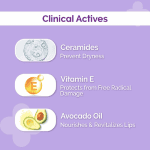 The Derma CO 1% Ceramide Complex Lip Balm For Dry Lips With SPF30 - Image 2
