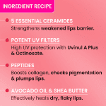 Dot & Key Barrier Repair Ceramide & Peptide Lip Balm - Red Romance