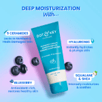 Dot & Key Blueberry Hydrate Barrier Repair Intense Moisturizer