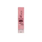 Everly Beauties Aurora Matte Liquid Lipstick - Terracotta Tease