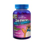 21st Century Zoo Friends Multi Gummies, Fruit 60 Count
